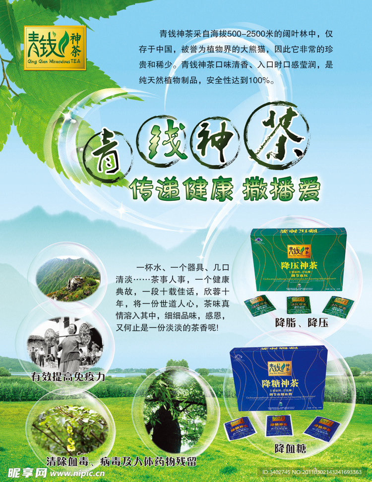青钱神茶