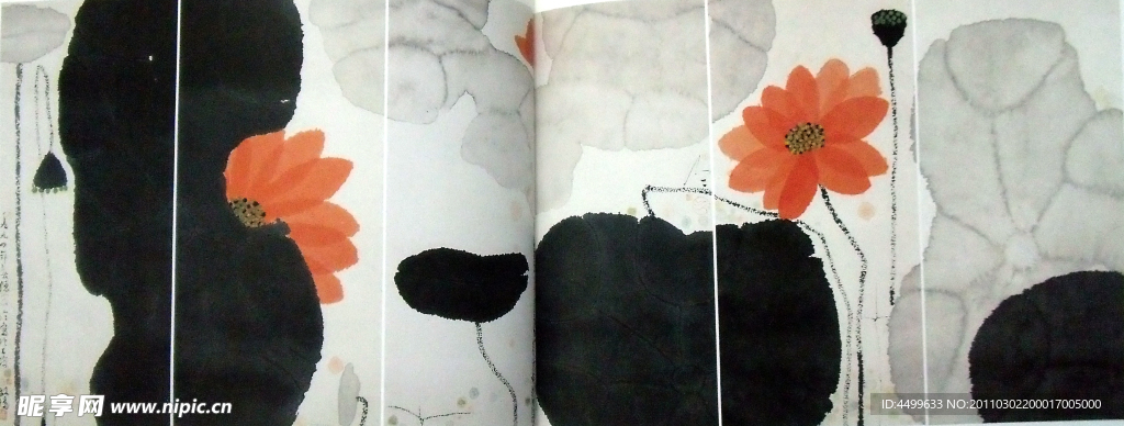 国画 荷花