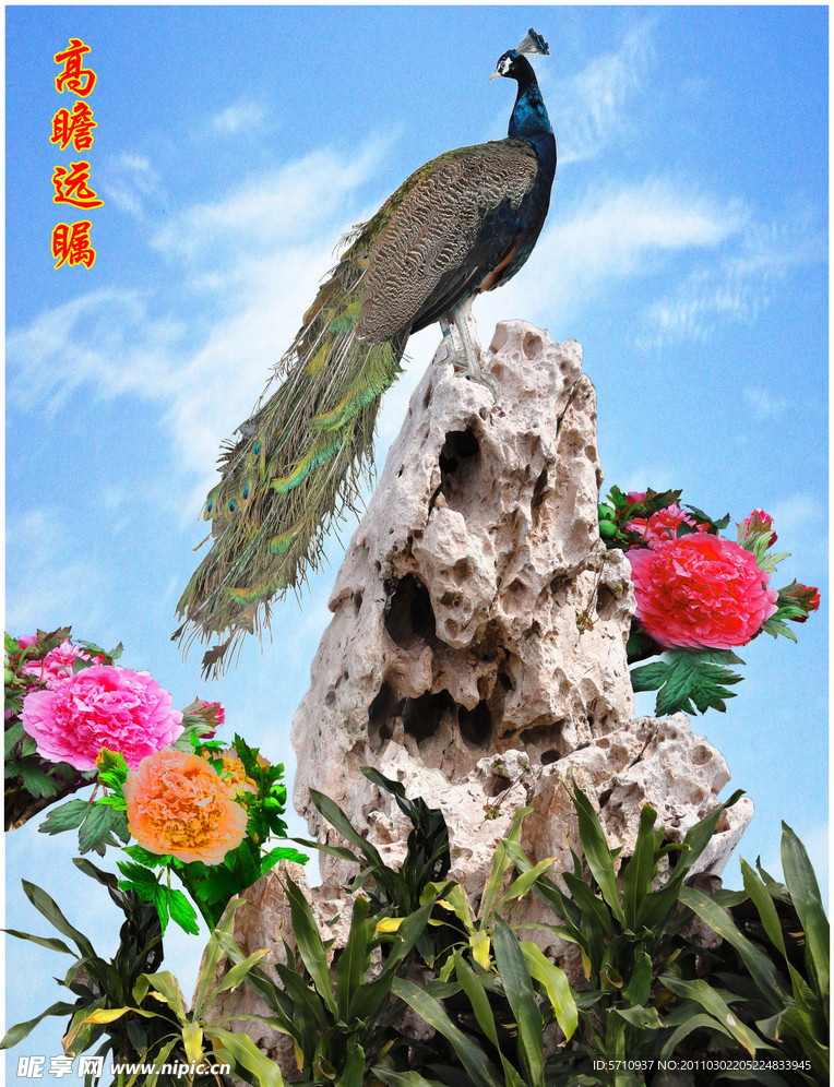 高瞻远瞩