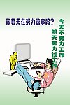 你每天在努力工作吗