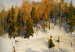 雪山树林