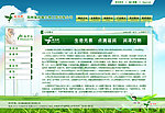 公司网页模板