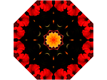 分形花纹