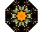 分形花纹