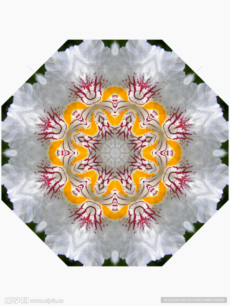 分形花纹