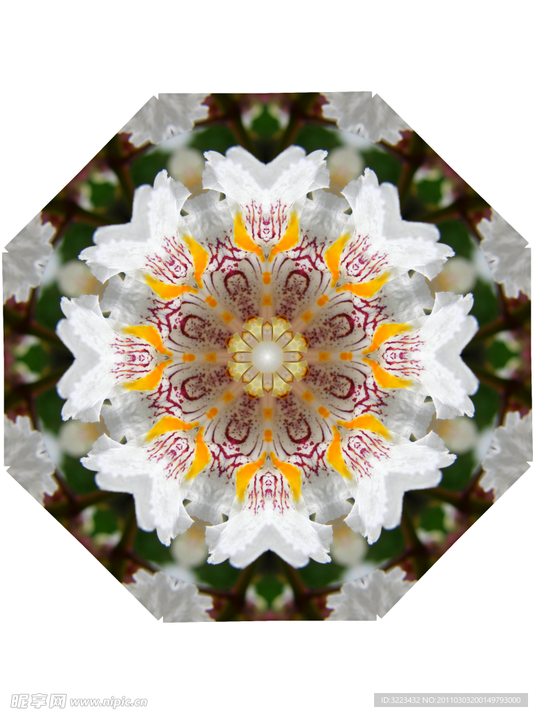 分形花纹