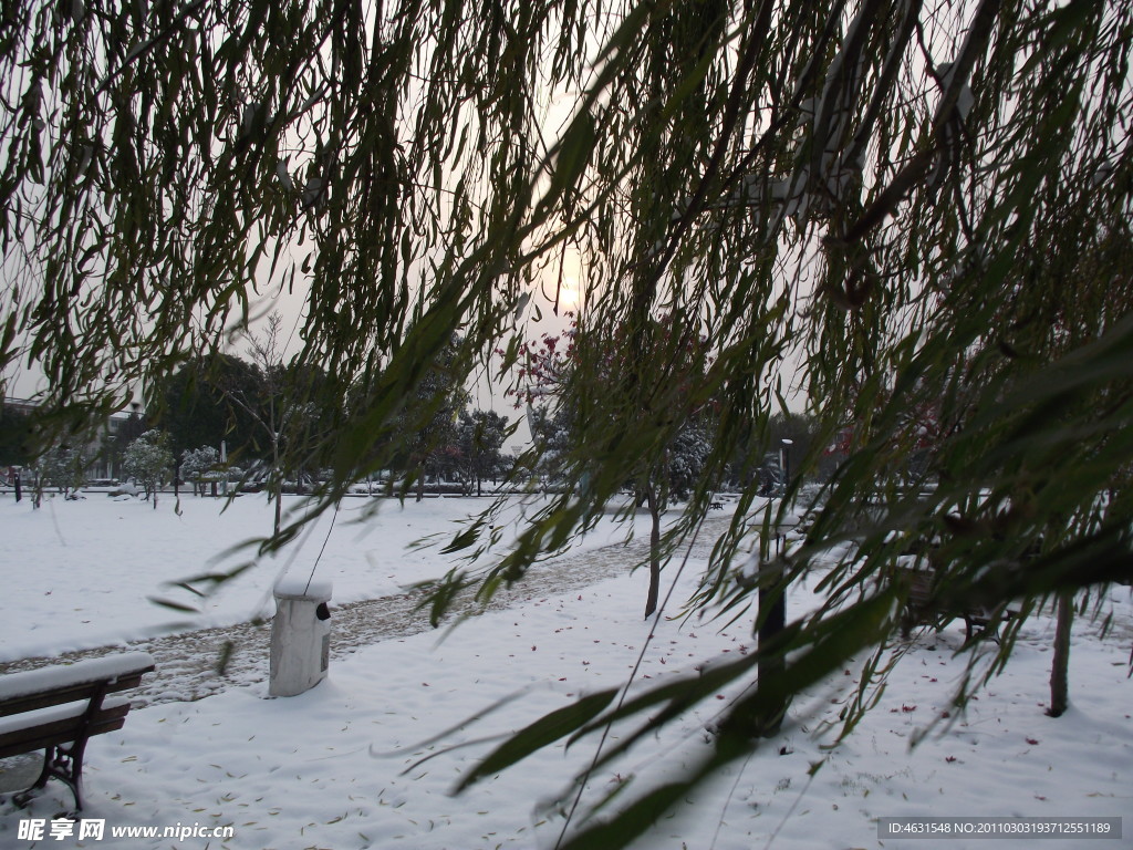 下雪的早晨