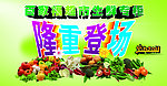 生鲜区隆重登场