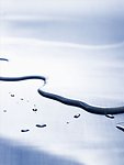 水珠