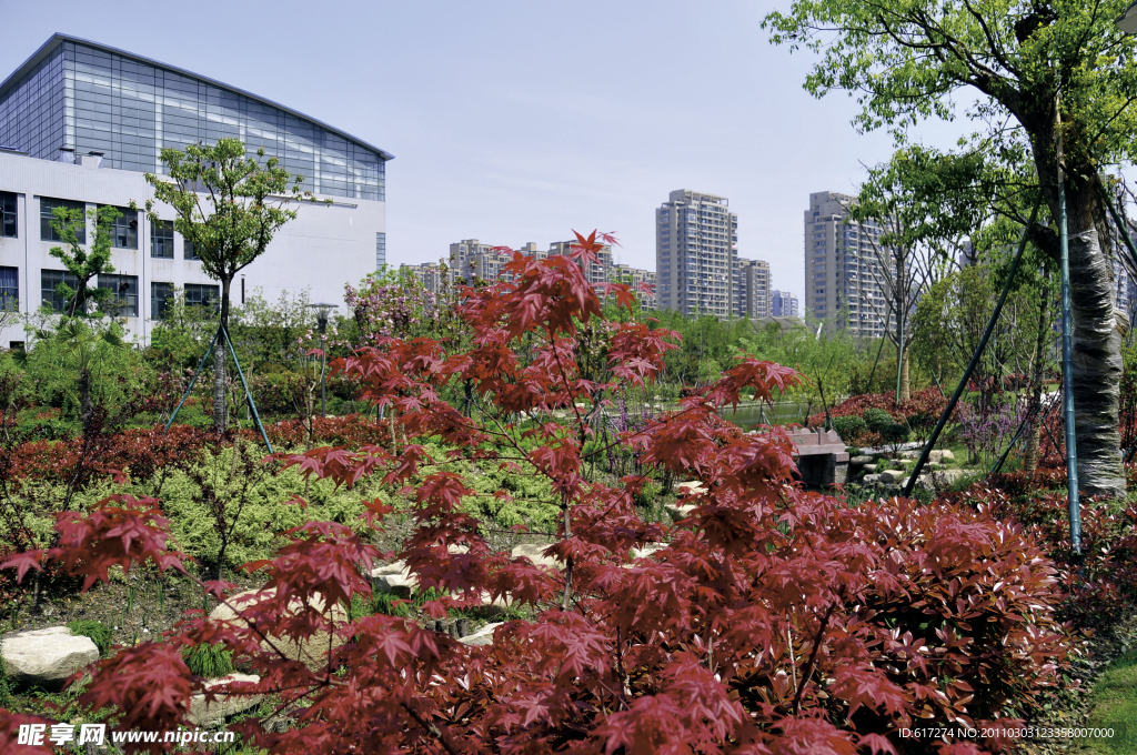 2009公园绿化金奖拱墅区后横港公园