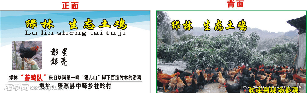 绿林生态土鸡