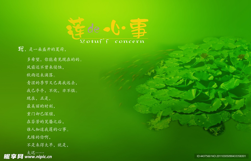 莲的心事