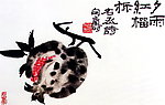 石榴