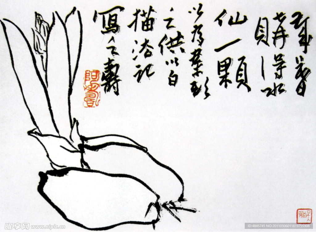 水仙