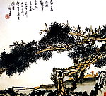 泰山赤松