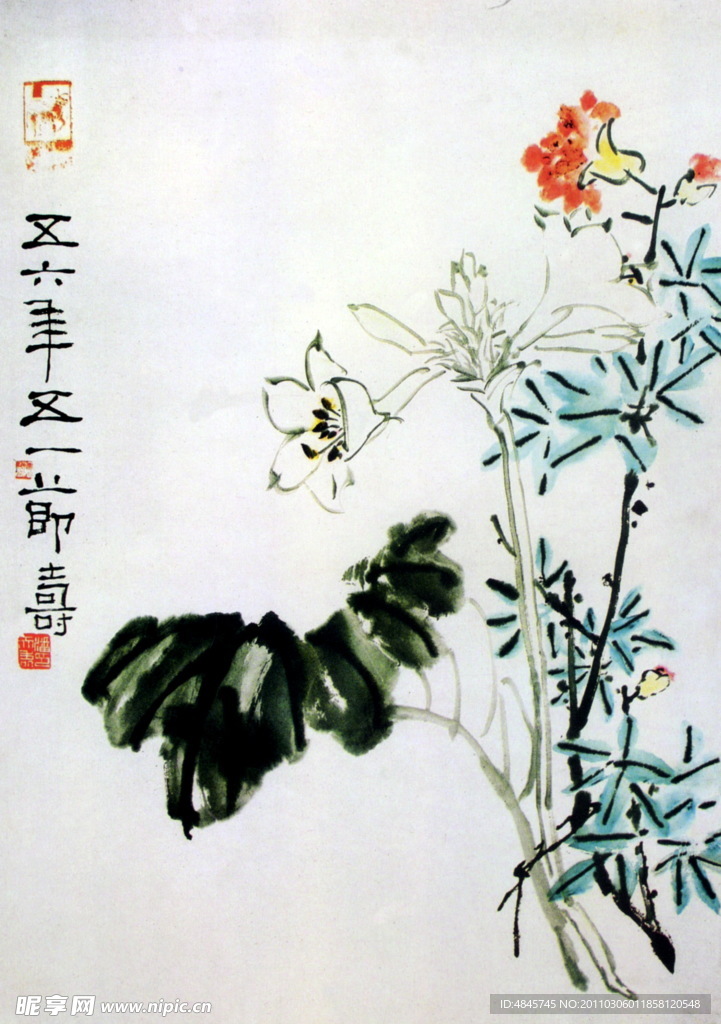 谈彩花卉