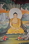 本师释迦牟尼佛