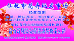 花卉批发市场车贴宣传