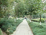 小平故里风景