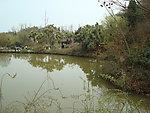 秀池