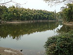 池塘