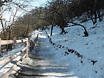 雪路