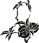 花纹