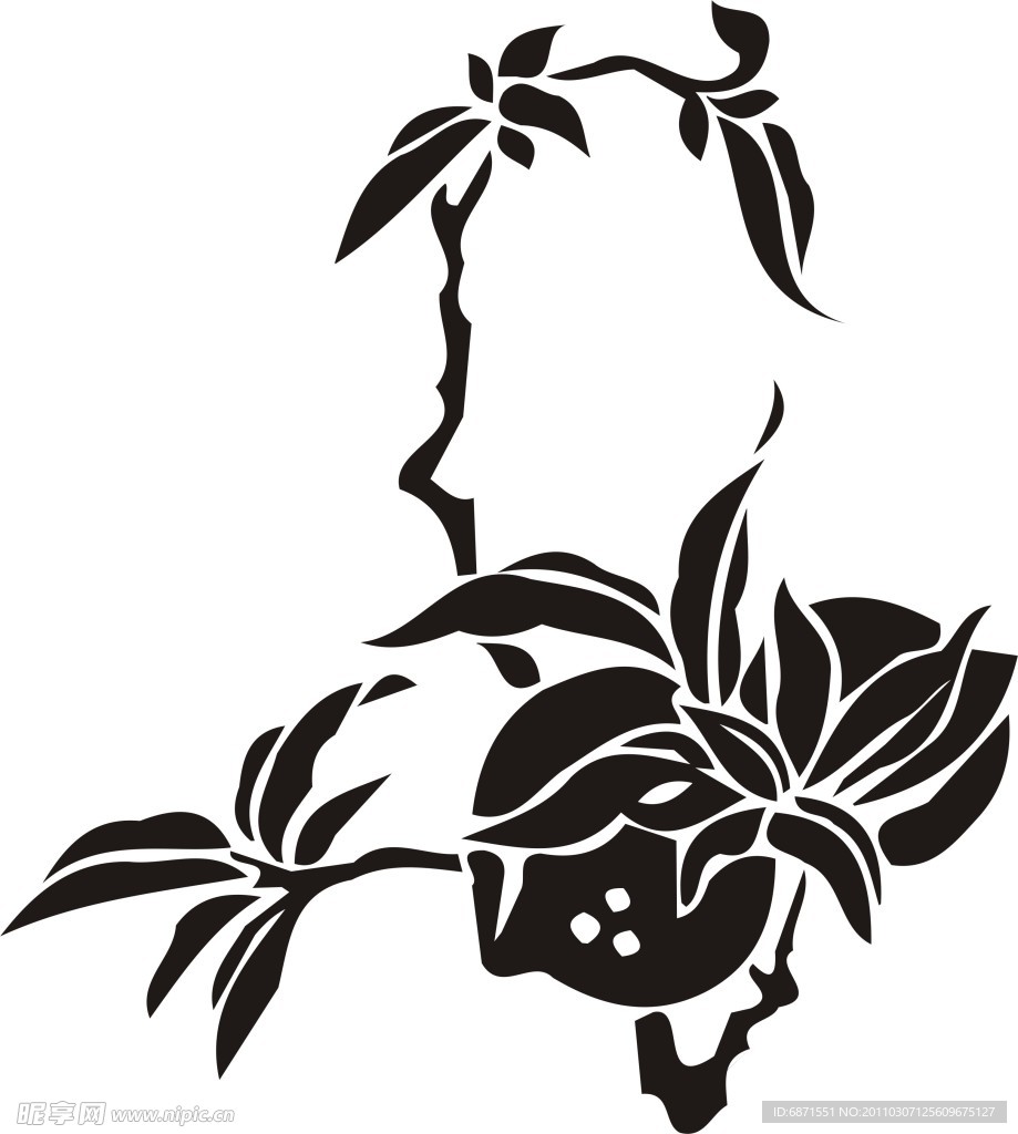 花纹