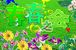 春春之会