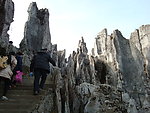 华蓥山石林