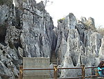 八阵迷踪