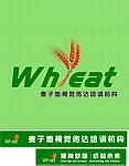 麦子地视觉传达培训机构