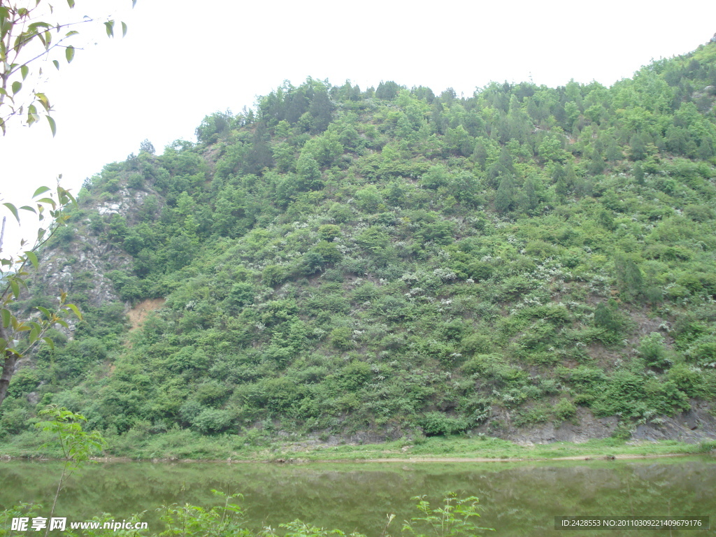 青山绿水