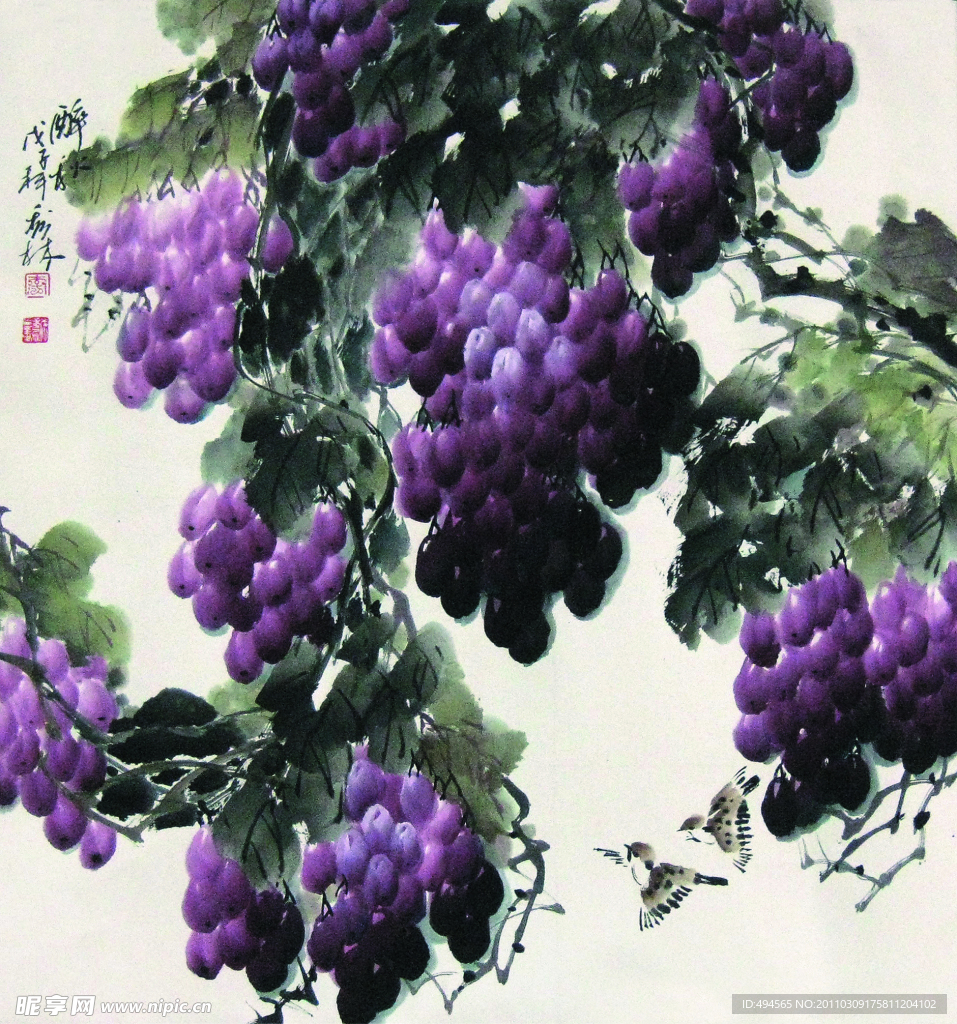 葡萄