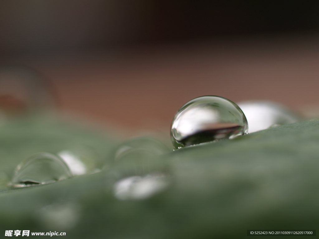 水珠
