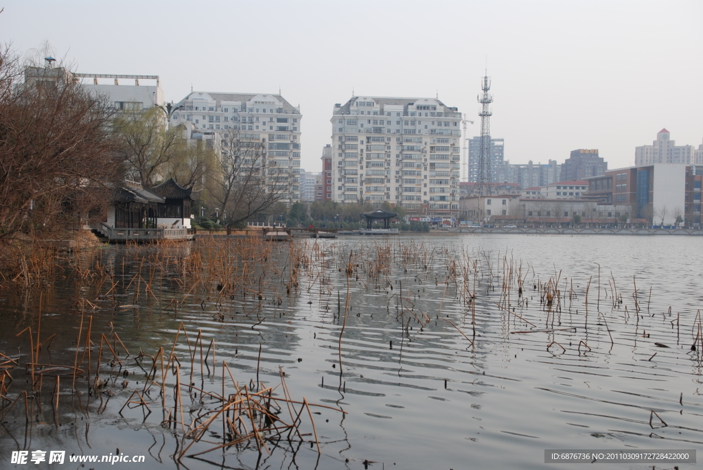 濠河风景