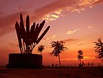 夕阳下的城市公园