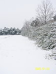 瑞雪兆丰年