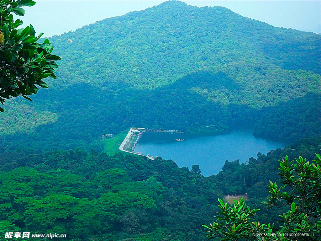 高山绿水