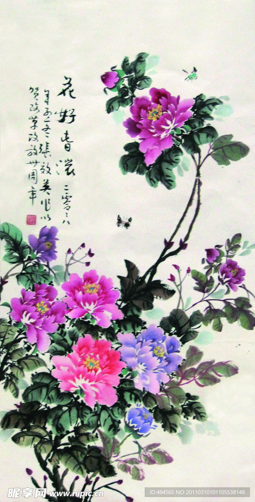 美丽的牡丹