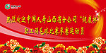 中国人寿羽毛球比赛背景