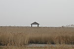 湿地
