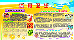 体育与卫生展报
