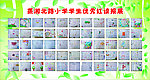 红读报展