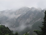 黄山雾气