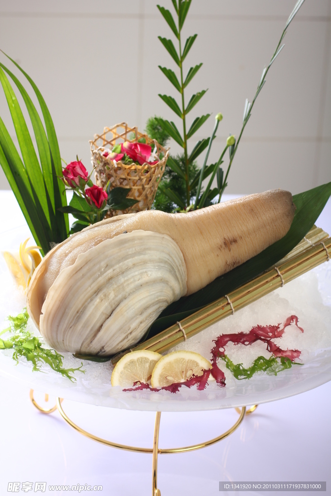 河蚌