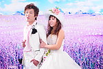 婚纱样板