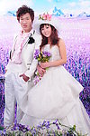 婚纱样板