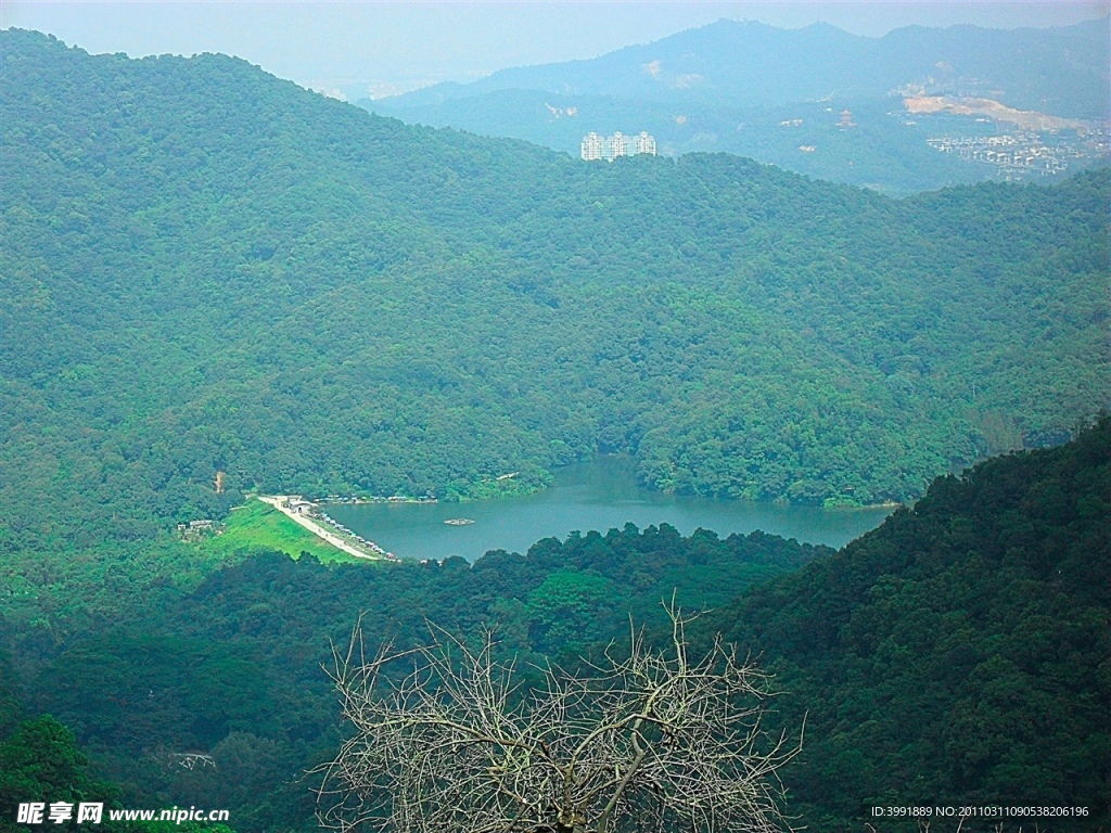 青山绿水