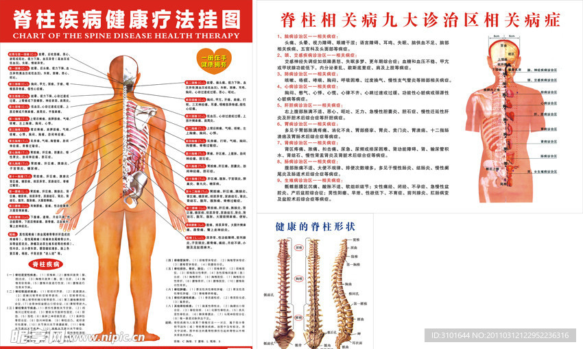 脊柱疾病健康疗法图解